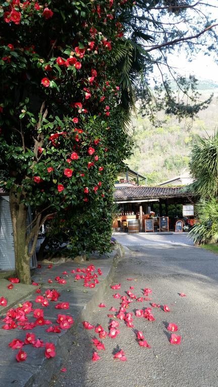 Villaggio Turistico Riviera Cannobio Esterno foto