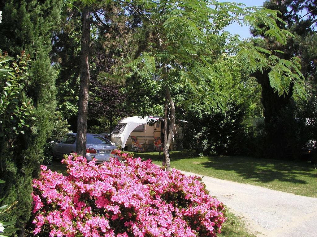 Villaggio Turistico Riviera Cannobio Esterno foto